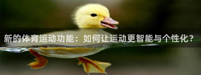 oety欧亿