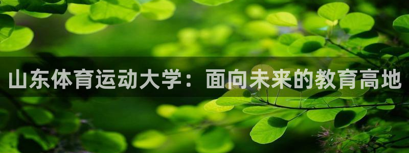 oety欧亿