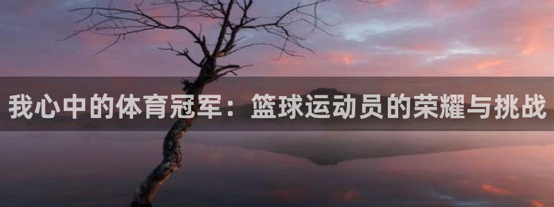 oety欧亿