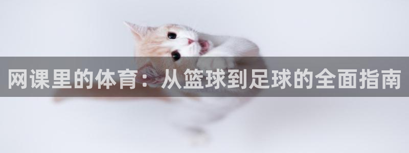 oety欧亿